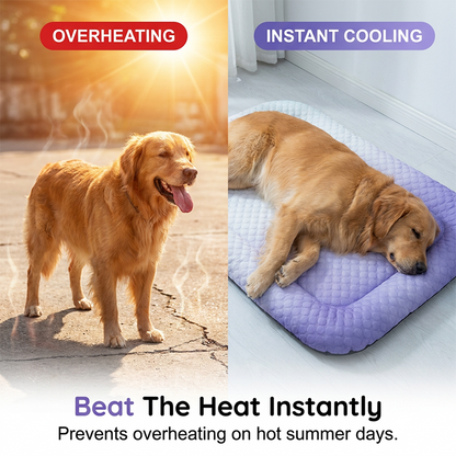 ❄️ The Self-Cooling Pet Mat That Keeps Dogs Cool and Comfortable