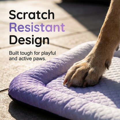 ❄️ The Self-Cooling Pet Mat That Keeps Dogs Cool and Comfortable