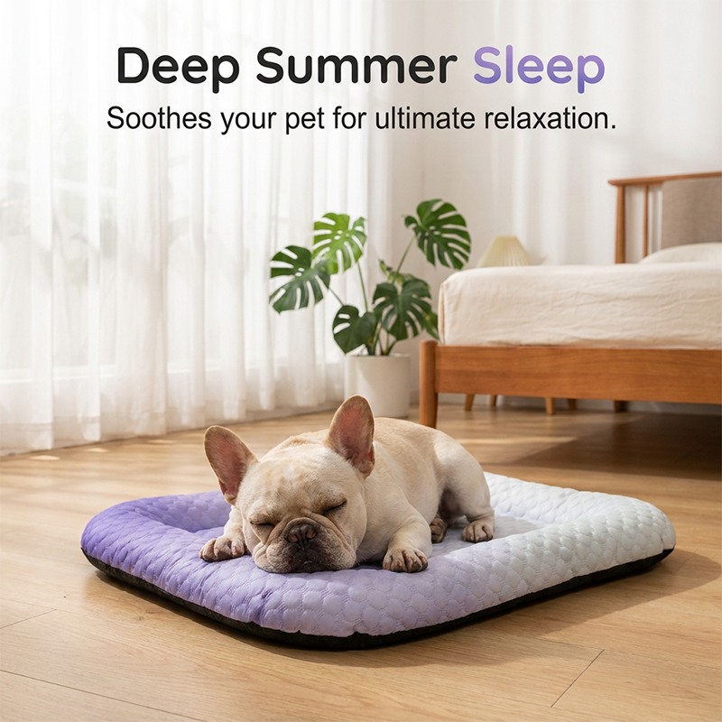 ❄️ The Self-Cooling Pet Mat That Keeps Dogs Cool and Comfortable
