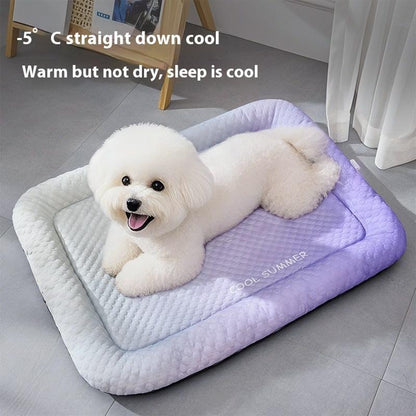 ❄️ The Self-Cooling Pet Mat That Keeps Dogs Cool and Comfortable
