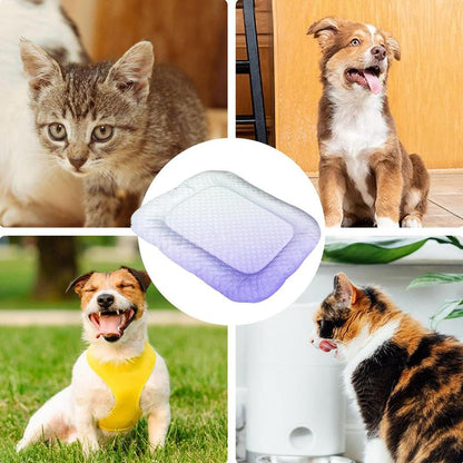 ❄️ The Self-Cooling Pet Mat That Keeps Dogs Cool and Comfortable